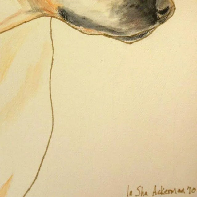 A fabulous watercolor painting of a yellow dog, double matted in a crisp white mat under glass in a black wood frame....