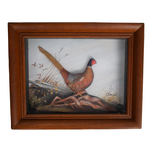 Abercrombie & Fitch X Joseph Q. Whipple Hand Painted Pheasant Shadowbox For Sale
