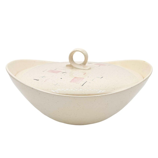 1950s 1950s "Tickled Pink" Serverware Dinner Plate Platter Bowl Set by Vernonware - 110 Piece For Sale - Image 5 of 18