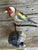 Austrian folk-art carved wooden bird — 5" x 5" x 3", vintage from the 1930s. Charming Alpine folk art for a shelf, mantel,...