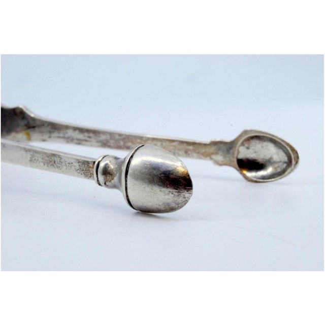Sugar Tongs in Embossed Silver with Shells and Concave Tongs For Sale - Image 6 of 9