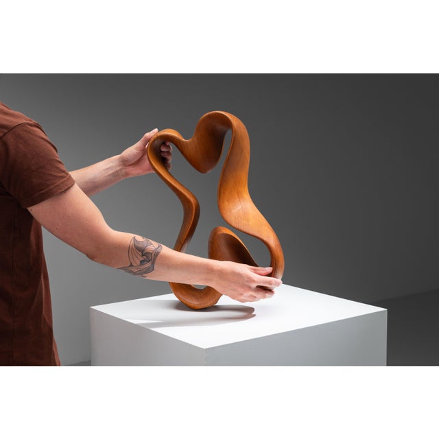 Wood Unknown, Abstract Sculpture with Organic Flowing Curves, 1960s, Teak For Sale - Image 7 of 18