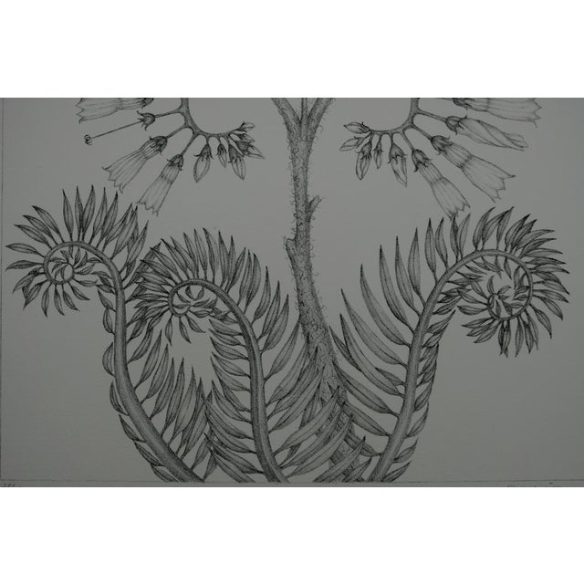 Contemporary Gochka Charewicz, Fleur en courbes, Lithograph For Sale - Image 3 of 8