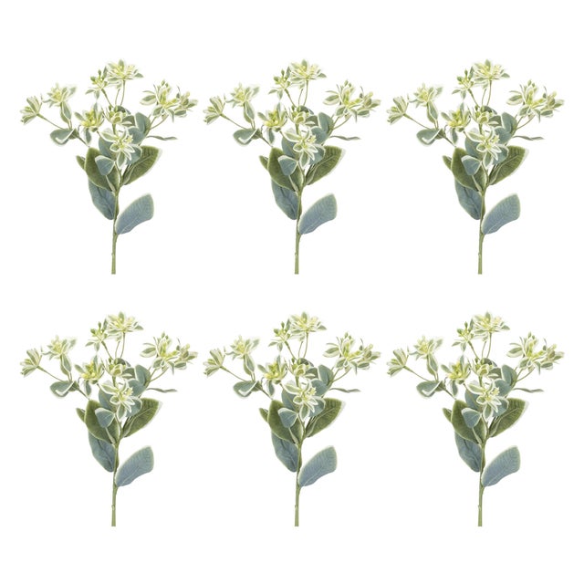 Rustic Euphorbia Floral Stem (Set of 6) For Sale - Image 3 of 3