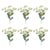 Rustic Euphorbia Floral Stem (Set of 6) For Sale - Image 3 of 3