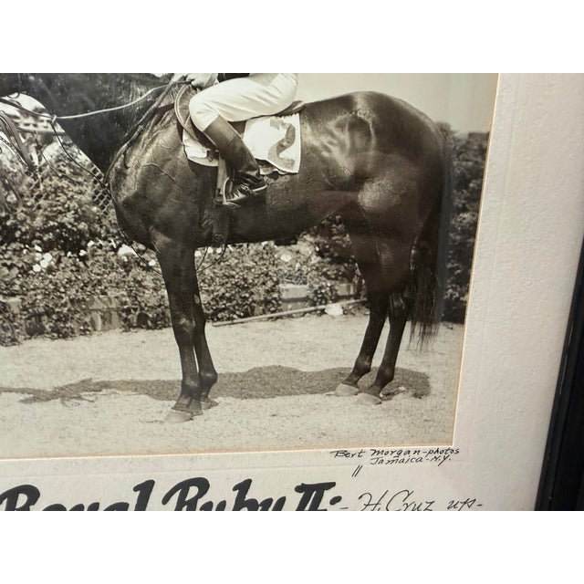Vintage Original Bert Morgan Royal Ruby Jamaica Horse Racing Jockey Photograph For Sale - Image 10 of 13