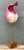 Late 20th Century Vintage Italian Paper Nautilus Shell Lamp For Sale - Image 5 of 12
