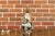 Ceramic Mid 20th Century French Porcelain Bulbous Table Lamp with Floral Décor on Lucite Base For Sale - Image 7 of 12