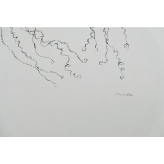Gochka Charewicz, Nepenthes Sins Iridum, Lithograph For Sale - Image 7 of 8
