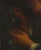 18th - 19th C. Portrait Painting After Petrus Staverenus Depicting Man Holding Bottle For Sale In San Francisco - Image 6 of 10