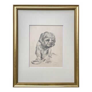Antique Drawing of a Puppy Dog by Robert Whitmore For Sale