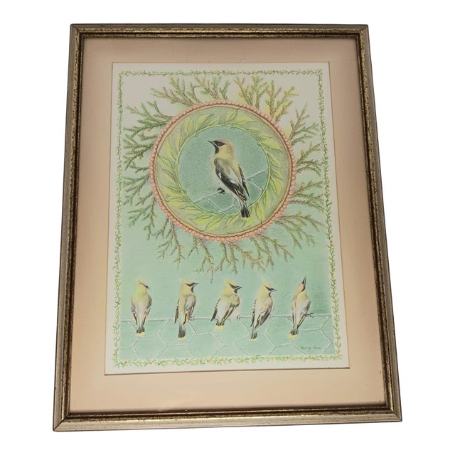 Cedar Waxing Birds Giclee Print Tamlyn Akins Soft Pastel Colors Mat Framed 13x17 For Sale
