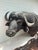 Late 20th Century Cape Buffalo From Africa Custom Wall Mount Taxidermy For Sale In Nashville - Image 6 of 12