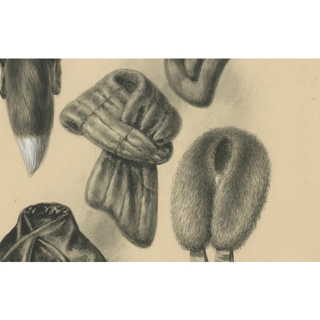 Black After Ferdinand-Léon Ménétrier, Fashion Design of Fur Collars and Stoles, 1910, Watercolor and Gouache on Cardboard For Sale - Image 8 of 11