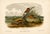 Rustic Orange Colored Mouse 1st Edition Octavo Lithograph by John James Audubon, 1842 For Sale - Image 3 of 3
