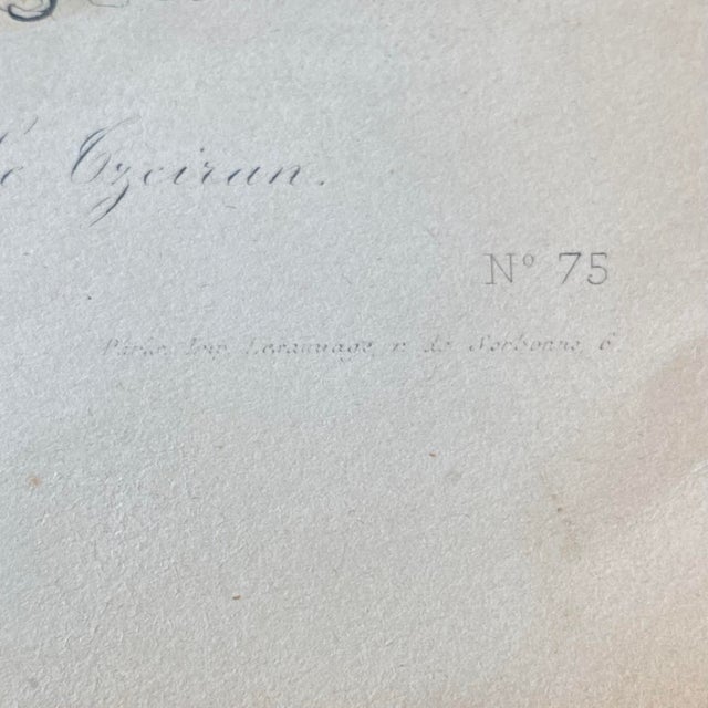 Paper French Antique 18th Century "La Gazelle" Animal Engraving Hand Colored Signed Artwork For Sale - Image 7 of 12