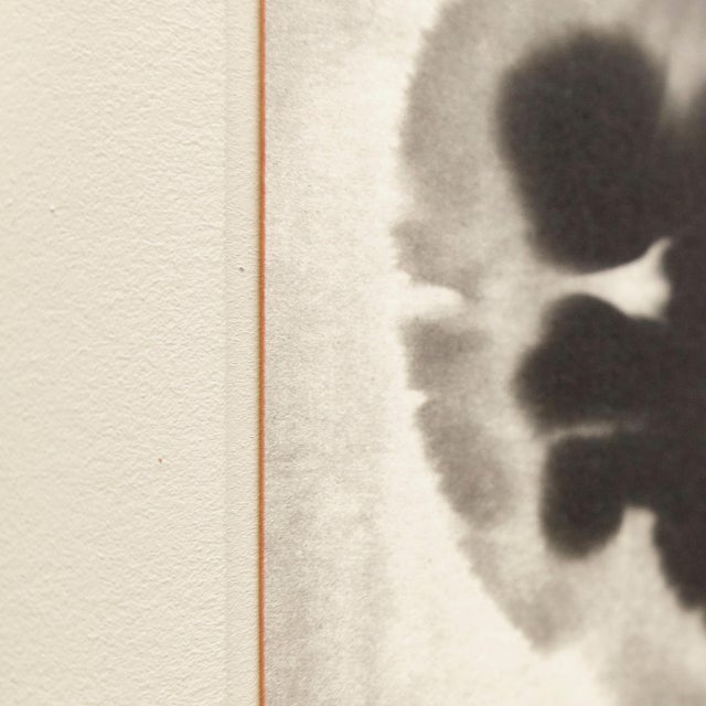 Mouth of Krishna 110 Print by Albarran & Cabrera, 2013 For Sale - Image 9 of 11