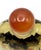 Beautifully Painted Inside Painted Snuff Bottle With Praying Mantis and Grasshoppers For Sale - Image 14 of 16