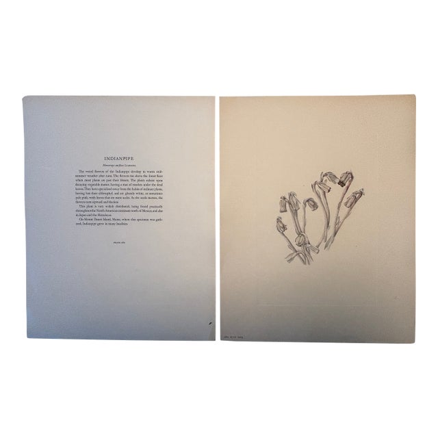 Late 19th Century Indianpipe Reproduction - Set of 2 For Sale