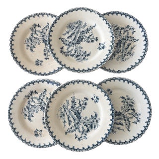 Vintage Dessert Plates with Chardon Pattern from Gien, 1940s, Set of 6 For Sale