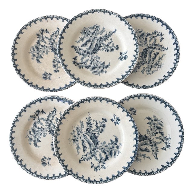 Vintage Dessert Plates with Chardon Pattern from Gien, 1940s, Set of 6 For Sale