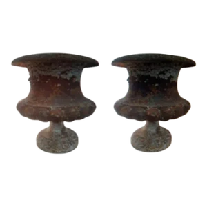 Pair of 19th Century French Iron Garden Urns