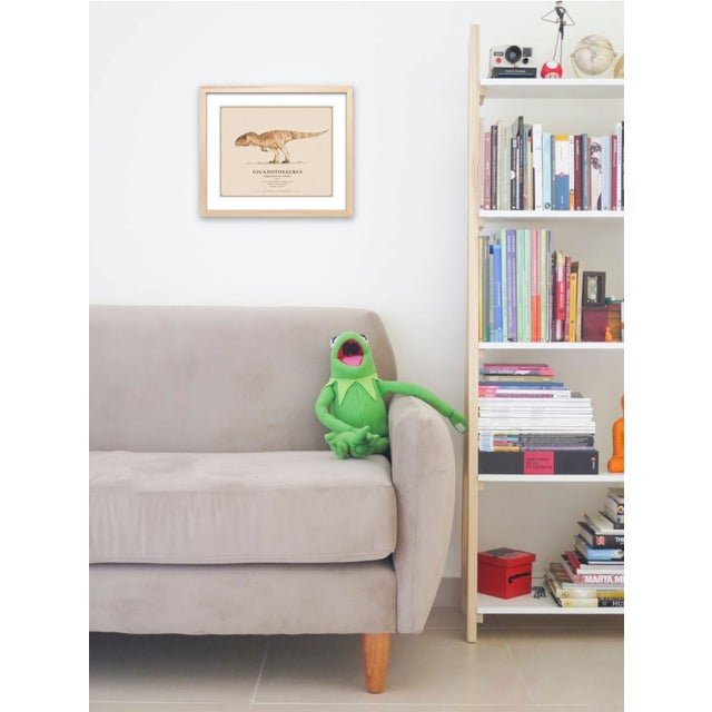 Atelier Aria Lumae Kai Hanna Van Wouden Giganotosaurus Carolinii Original Scientific Watercolor Fine Art Cotton Rag Gallery Board Print 20 X 16 For Sale - Image 13 of 15