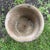 Cast Stone Neoclassical 1990s Fleur-De-Lis Garden Pot For Sale In Columbus - Image 6 of 9