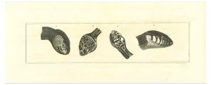 Thomas Holloway, The Physiognomy: The Snakes, Original Etching, 1810