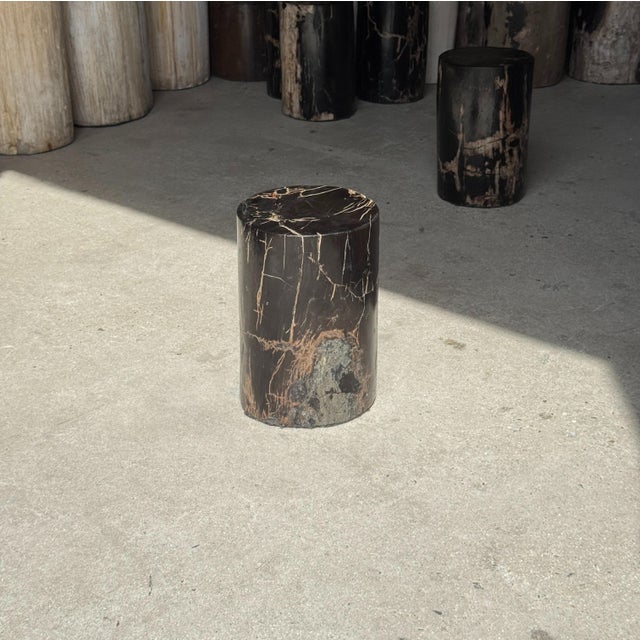 Small Side Table in Black Petrified Wood with Beige Striations For Sale - Image 10 of 18
