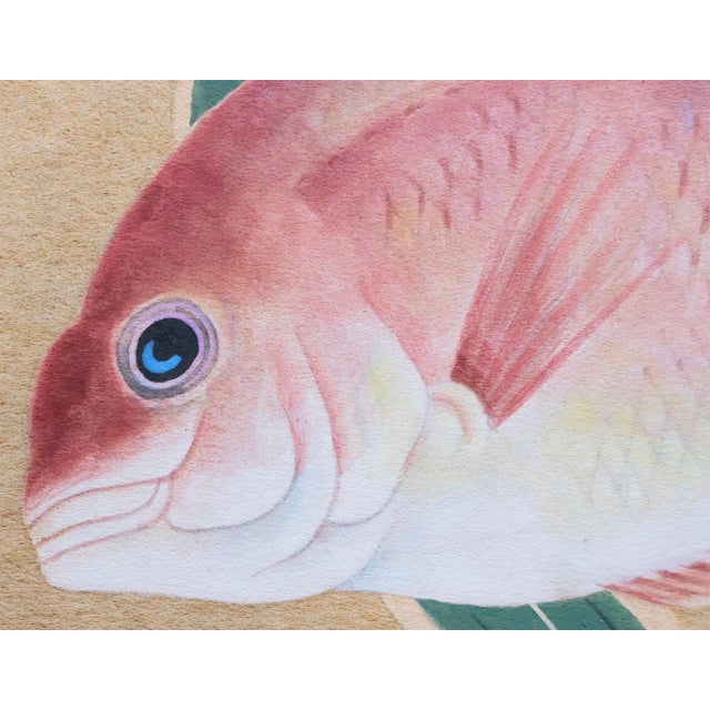 "Red Snapper", Heisei Era Japanese Watercolor Painting For Sale In Dallas - Image 6 of 17