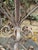 Monumental 77-Inch Custom Artisan Hand-Welded Wrought Iron Pagoda Aviary (Birdcage) on Stand For Sale - Image 4 of 12