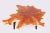 Modern Lychee Living Edge Coffee Table 94 For Sale - Image 4 of 6