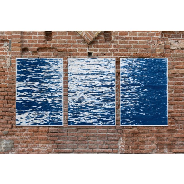 Paper 2020 "Moonlight Ripples Over Lake" Original Cyanotype Triptych Prints - Set of 3 For Sale - Image 7 of 12