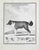 Jacques de Seve, Le Chien d’Islande, Etching, 1771 For Sale