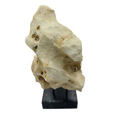 Tribal Indonesian Coral Stone On Teak Stand For Sale - Image 3 of 5