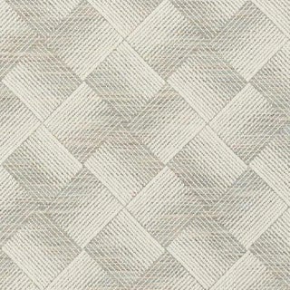 Sample - Schumacher Ashberg Fabric in Moonstone For Sale