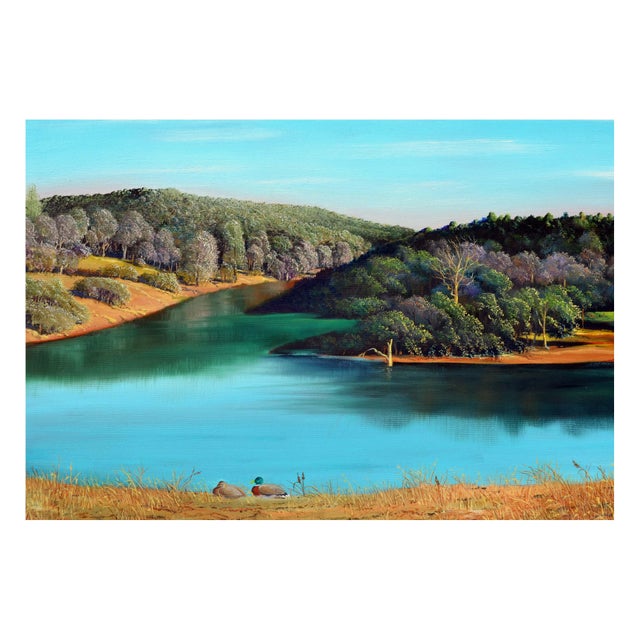 Crisp realist landscape of two ducks on the lakeside surrounded by rolling hills near Mt Tamalpais by Luke Stamos...