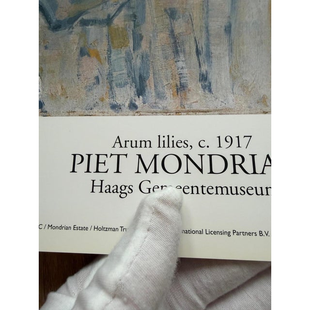 Piet Mondrian, Aronskelken, Print For Sale - Image 3 of 8