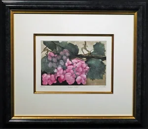 G H Rothe "Grapes St Ii" Framed Hand Signed Art Limited Edition on Paper