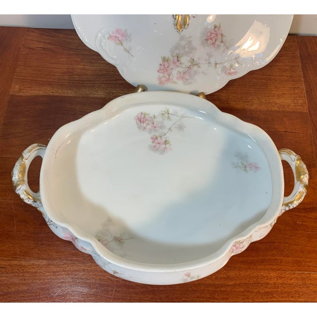 Haviland & Co. Antique Oval Scalloped Edge Porcelain Serving Dish Haviland & Co For Sale - Image 4 of 10