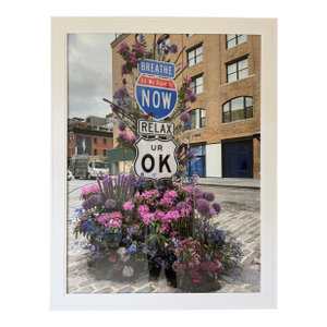 Lewis Miller Flower Flash Photograph - Framed