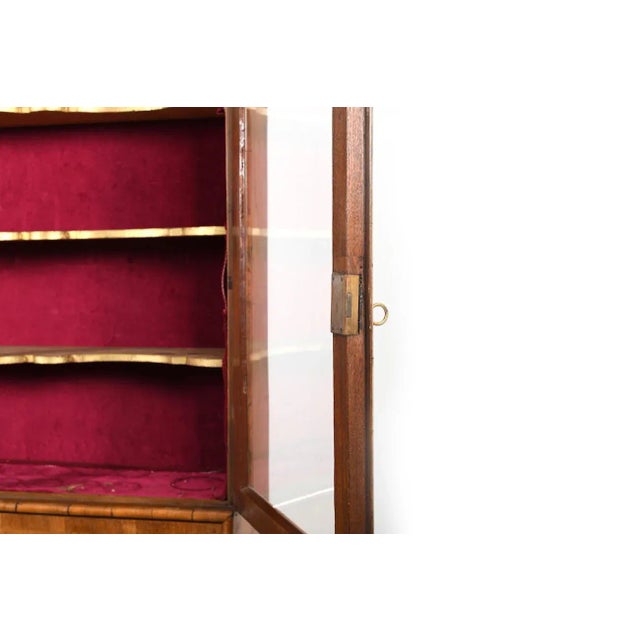Brown Antique Walnut Vitrine Cabinet For Sale - Image 8 of 13