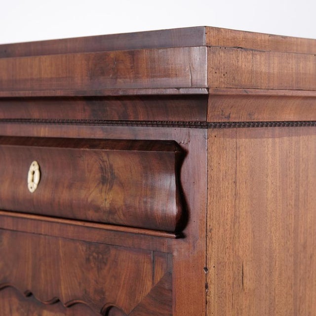 Antique Hand-Polished Mahogany Silverware Cabinet with Lion Feet, 1860s For Sale - Image 9 of 13