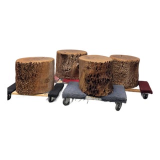Organic Modern Live Edge Tree Side Table/ Stools, Set of Four For Sale