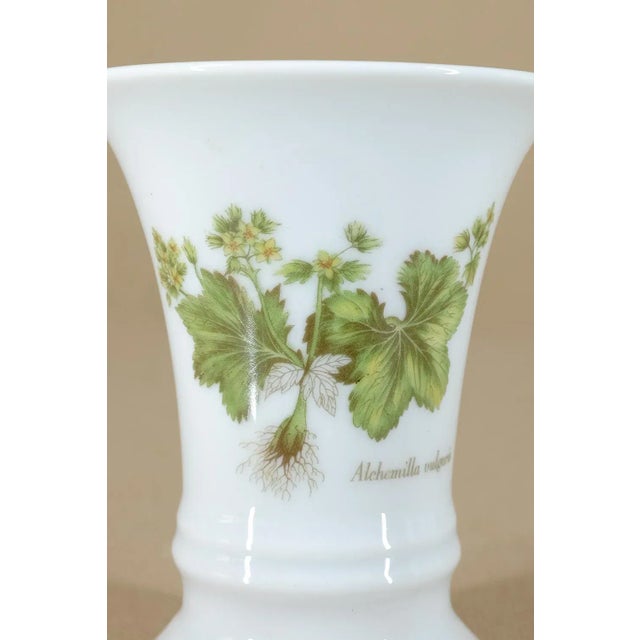 1980s Alchemilla Vulgaris Vase from Fürstenberg Porzellan, 1980s For Sale - Image 5 of 8