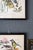 Pair of Framed Bird and Botanical Prints by Arthur Singer Mockingbird and Goldfinch For Sale - Image 13 of 16