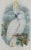 This is a framed original 19th century hand-colored folio-sized lithograph entitled “Cacatua Ophthalimica” (Blue-eyed...