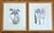 Purple Vintage Iris Botanical Prints in Gold Frames, a Pair For Sale - Image 8 of 8