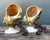 Vintage Deco Nautilus Shell Lamps - A Pair For Sale - Image 12 of 12